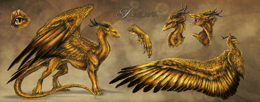 amber_eyes claws digital_media_(artwork) dragon feathered_dragon feathered_wings feathers feral fur furred_dragon gold_fur golden_feathers horn isvoc model_sheet open_mouth solo standing teeth tongue wings