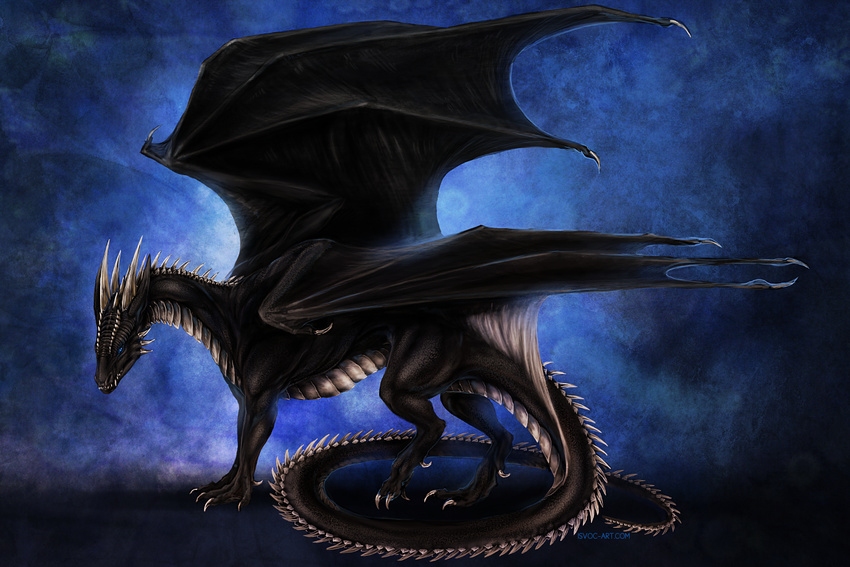 black_scales blue_eyes claws detailed dragon feral gradient_background horn isvoc male membranous_wings nude scales simple_background smooth_horn solo spines standing white_scales wings