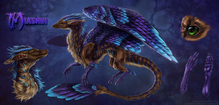 blue_feathers brown_fur digital_media_(artwork) dragon feathered_wings feathers feral fur green_eyes hybrid isvoc model_sheet purple_feathers simple_background solo striped_fur stripes wings