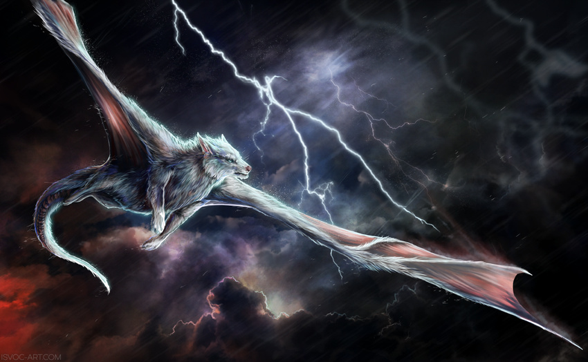 blue_eyes canine detailed_background digital_media_(artwork) dragon feral flying fur hybrid isvoc lightning mammal membranous_wings night nude outside paws solo spread_wings storm white_fur wings wolf