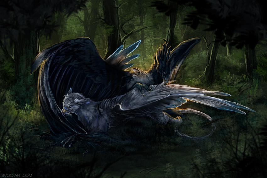 ambiguous_gender avian beak black_beak black_feathers claws day detailed_background digital_media_(artwork) duo feathered_wings feathers forest grass gryphon isvoc lying moss outside tree wings yellow_beak
