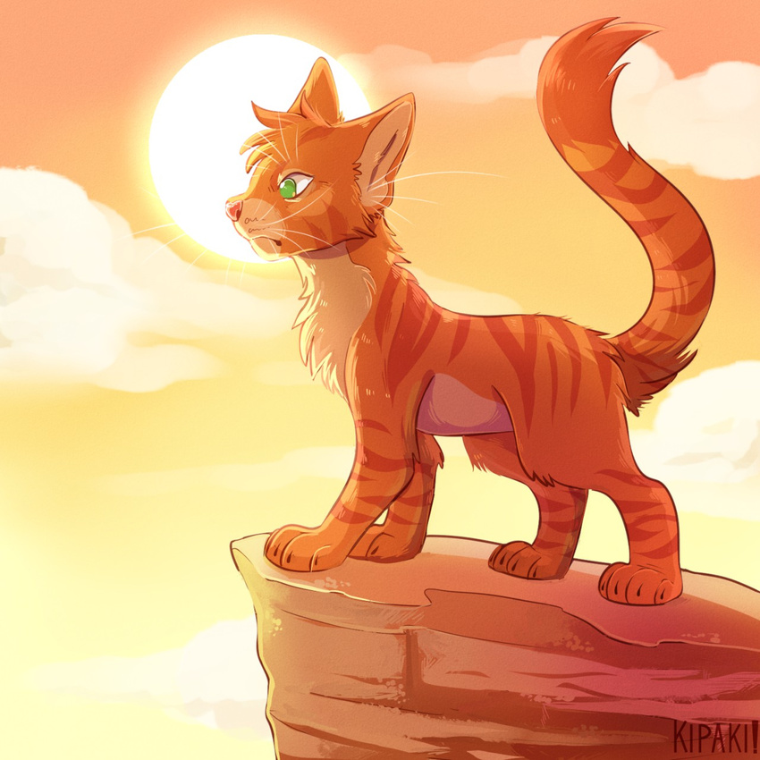 cat chest_tuft cliff cloud feline feral firestar_(warriors) fluffy fur green_eyes kipaki long_tail long_whiskers mammal orange_fur orange_sky rock stripes sun tuft warriors_(cats)