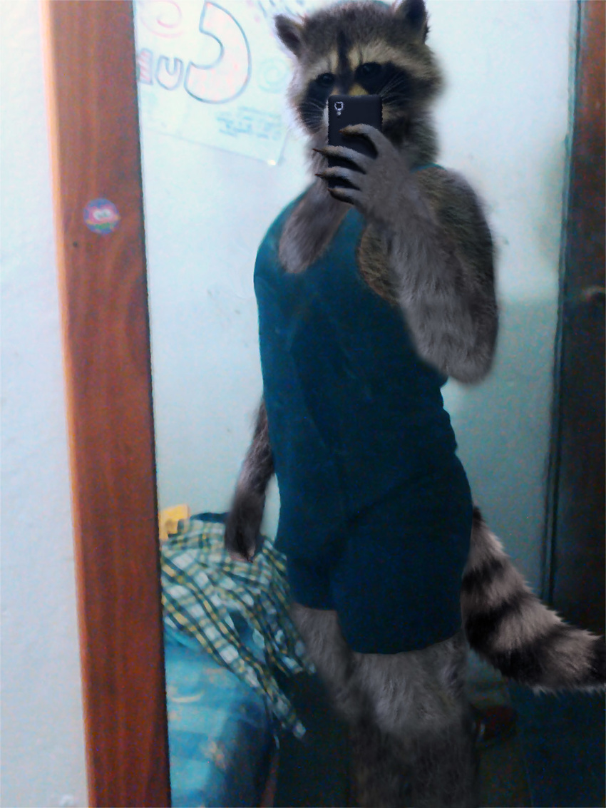 anthro bed bedroom boxers_(clothing) clothing fur invalid_color invalid_tag male mammal photoshop raccoon realist rigzen rzr rzrcoon underclothes underwear