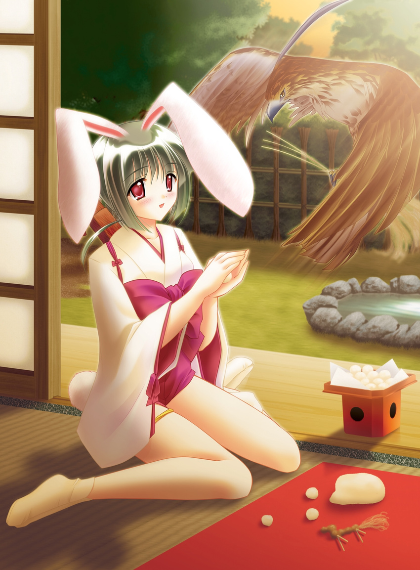 absurdres animal_ears bird blush bunny_ears bunny_tail food green_hair highres iori_(tail_tale) japanese_clothes louis&amp;visee ponytail red_eyes sitting socks solo tail tail_tale wariza
