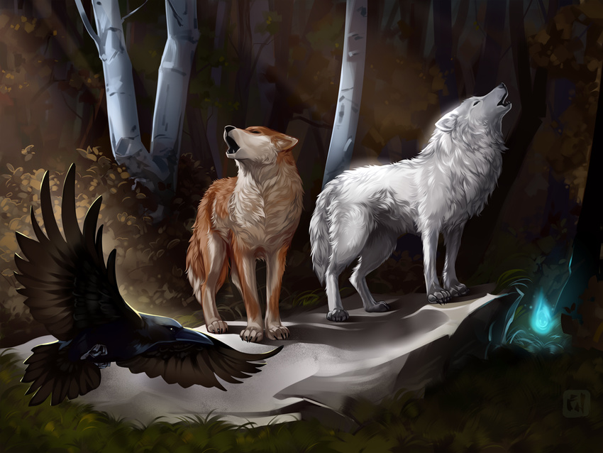 ambiguous_gender avian bird black_lips black_nose canine corvid crow day detailed_background dragonfu feral forest fur grass hindpaw mammal nude open_mouth paws shinyuu standing tan_fur teeth tree white_fur wolf