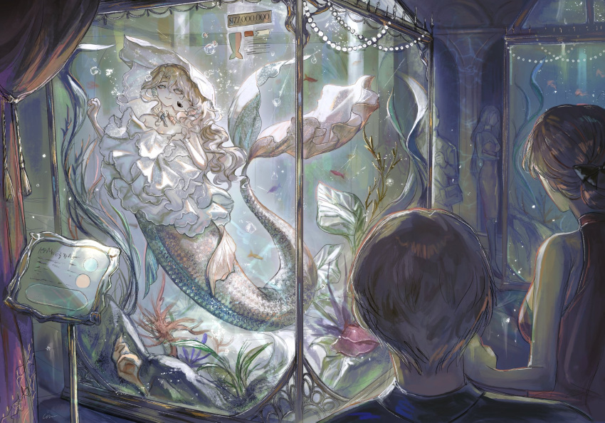 2boys 3girls :d aquarium bare_shoulders blonde_hair bubble cindymeimezu clenched_hand conjoined curly_hair display_case dress fins fish frilled_dress frills full_body green_eyes hand_on_own_chest highres information_sheet jewelry kneeless_mermaid long_hair mermaid monster_girl multiple_boys multiple_girls necklace original pearl_necklace pink_eyes plant price_tag red_curtains scales smile solo_focus spotlight submerged white_dress