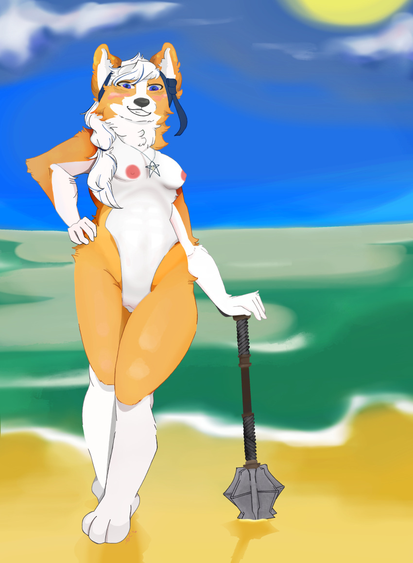 absurd_res accessory anthro beach belly blush breasts canid canine canis domestic_dog female fur genitals hair hand_on_hip headband herding_dog hi_res jewelry mace mammal melee_weapon neck_tuft necklace nipples outdoor_nudity pastoral_dog ponytail ponytail_over_shoulder pose pussy short small_breasts smile smiling_at_viewer solo star teysa_(golddrake) tuft weapon welsh_corgi white_belly white_body white_fur white_hair wimblyskrimbly yellow_body yellow_fur