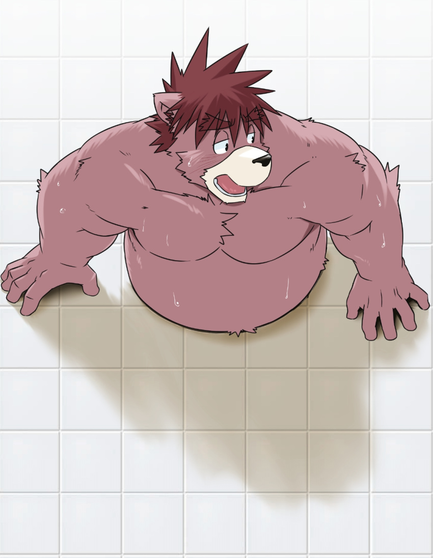2024 anthro bear belly black_nose bodily_fluids hi_res humanoid_hands inuryu kemono male mammal moobs overweight overweight_male solo sweat through_wall