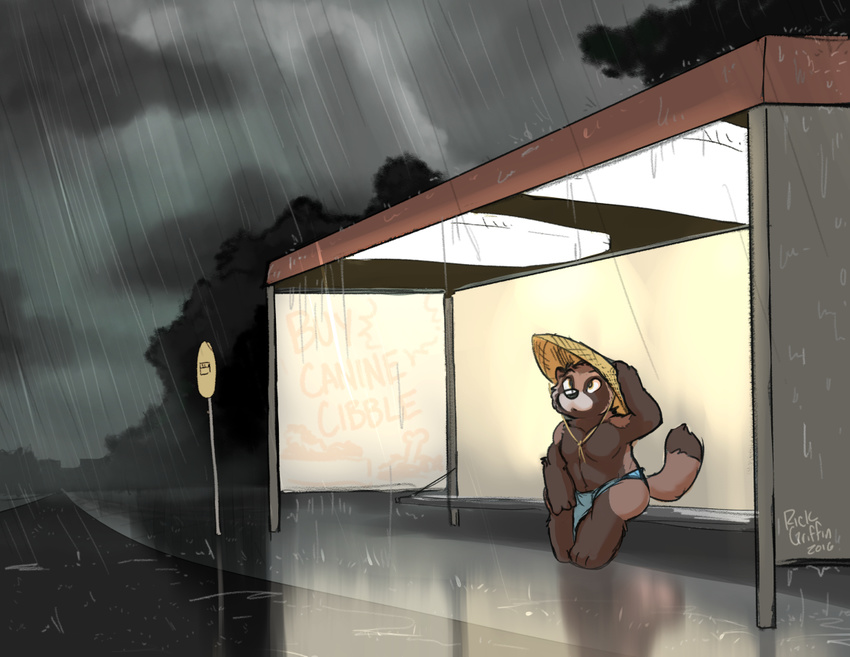 anthro bus_stop clothed clothing conical_hat itsuki_(housepets!) loincloth looking_up male mammal outside overweight overweight_male raining rick_griffin signature sitting solo tanuki topless