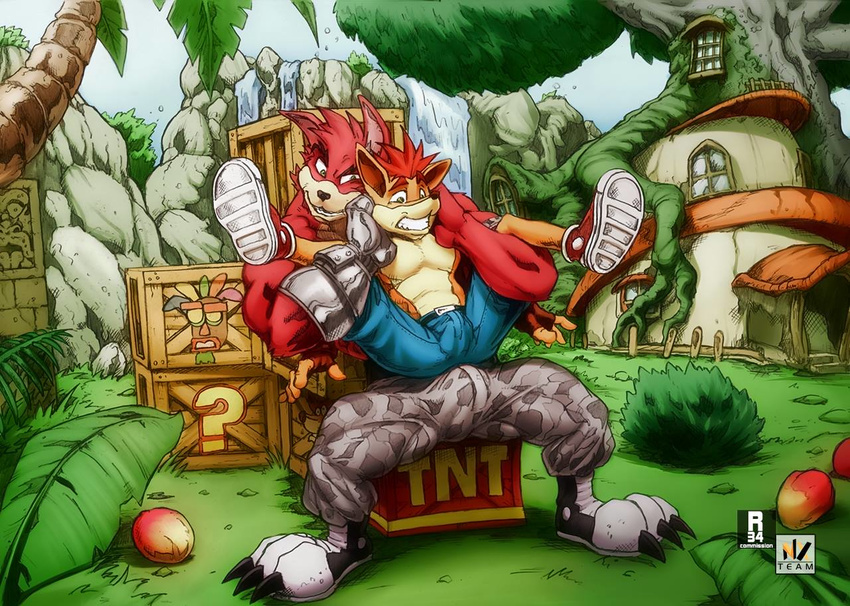 anthro anubis_kruger athletic bandicoot big_dom_small_sub bulge clenched_teeth clothed clothing crash_bandicoot crash_bandicoot_(series) crunch_bandicoot detailed_background duo jeans legs_up lifted male male/male mammal marsupial muscular naughty_face nervous on_lap pants reclining restrained signature sitting size_difference sneakers spread_legs spreading teeth topless video_games