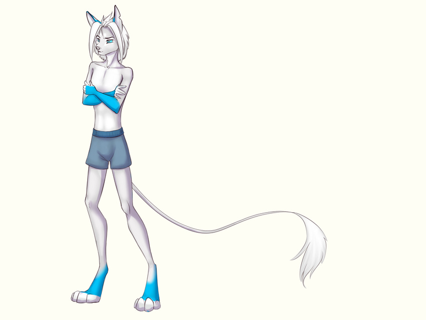 4_toes akineza anthro blue_eyes clothed clothing crossed_arms digitigrade fur hair male mammal simple_background solo standing toes topless underwear white_background white_fur white_hair white_nose