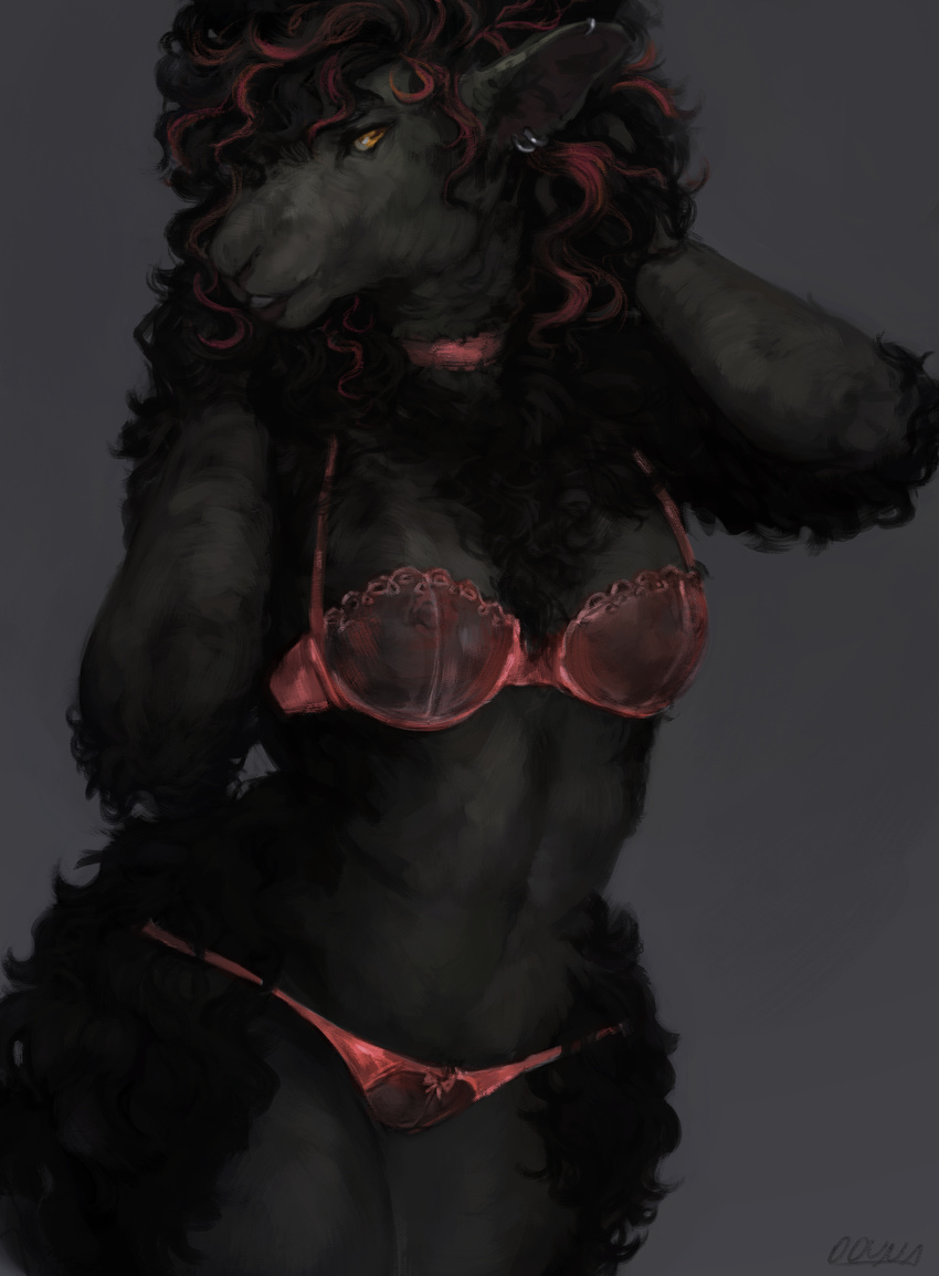 2016 absurd_res anthro areola black_fur black_hair bra breasts caprine clothed clothing ear_piercing female fur grey_background hair hi_res long_hair looking_at_viewer mammal nipples oouna panties piercing pink_nipples sheep simple_background skimpy smile solo translucent transparent_clothing underwear wide_hips