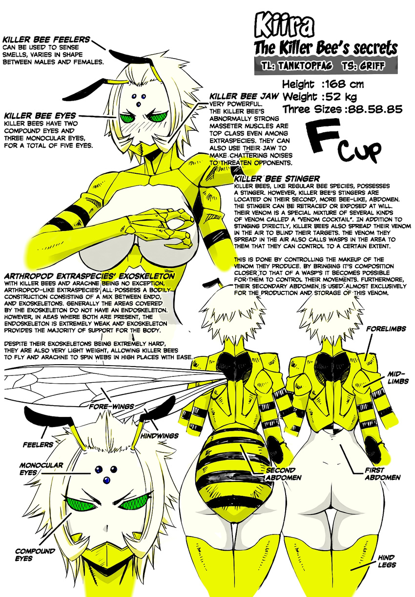 1girl ass bee_girl blonde_hair breasts character_sheet compound_eyes extra_arms eyebrows female green_eyes insect_girl kiira_(monster_musume) monster_girl monster_musume_no_iru_nichijou solo white_background