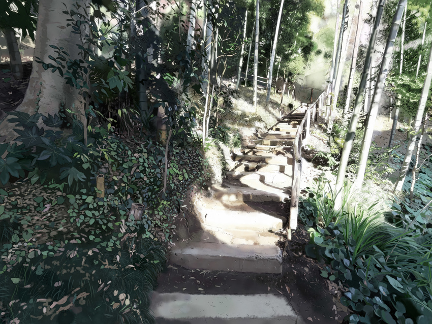 bamboo_forest forest highres houmitsu nature no_humans original plant realistic scenery stairs tree