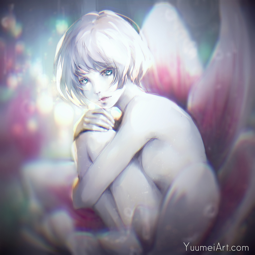 backlighting bangs blue_eyes blurry bob_cut breasts closed_mouth colored_eyelashes depth_of_field from_side hand_on_own_knee highres knees_to_chest knees_up lips looking_at_viewer lotus_pedestal medium_breasts nude on_flower original petals short_hair sideboob silver_hair sitting solo watermark web_address wenqing_yan white_hair white_wings wings