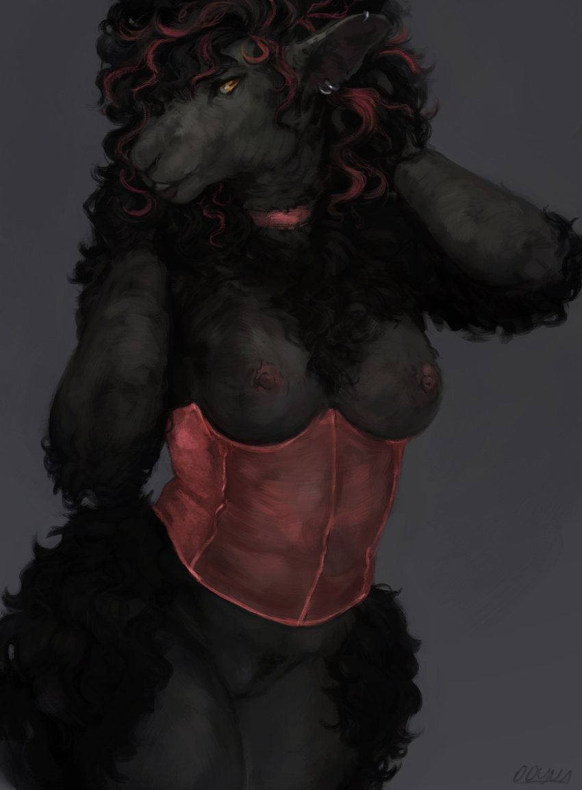 2016 absurd_res anthro areola black_fur black_hair breasts caprine clothed clothing ear_piercing female fur grey_background hair hi_res long_hair looking_at_viewer mammal nipples oouna panties piercing pink_nipples sheep simple_background skimpy smile solo translucent transparent_clothing underwear wide_hips