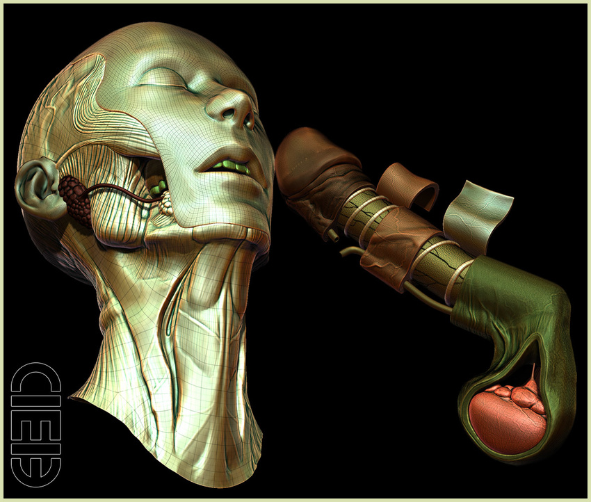 3d_(artwork) anatomy balls ciei3 digital_media_(artwork) erection nightmare_fuel penis simple_background