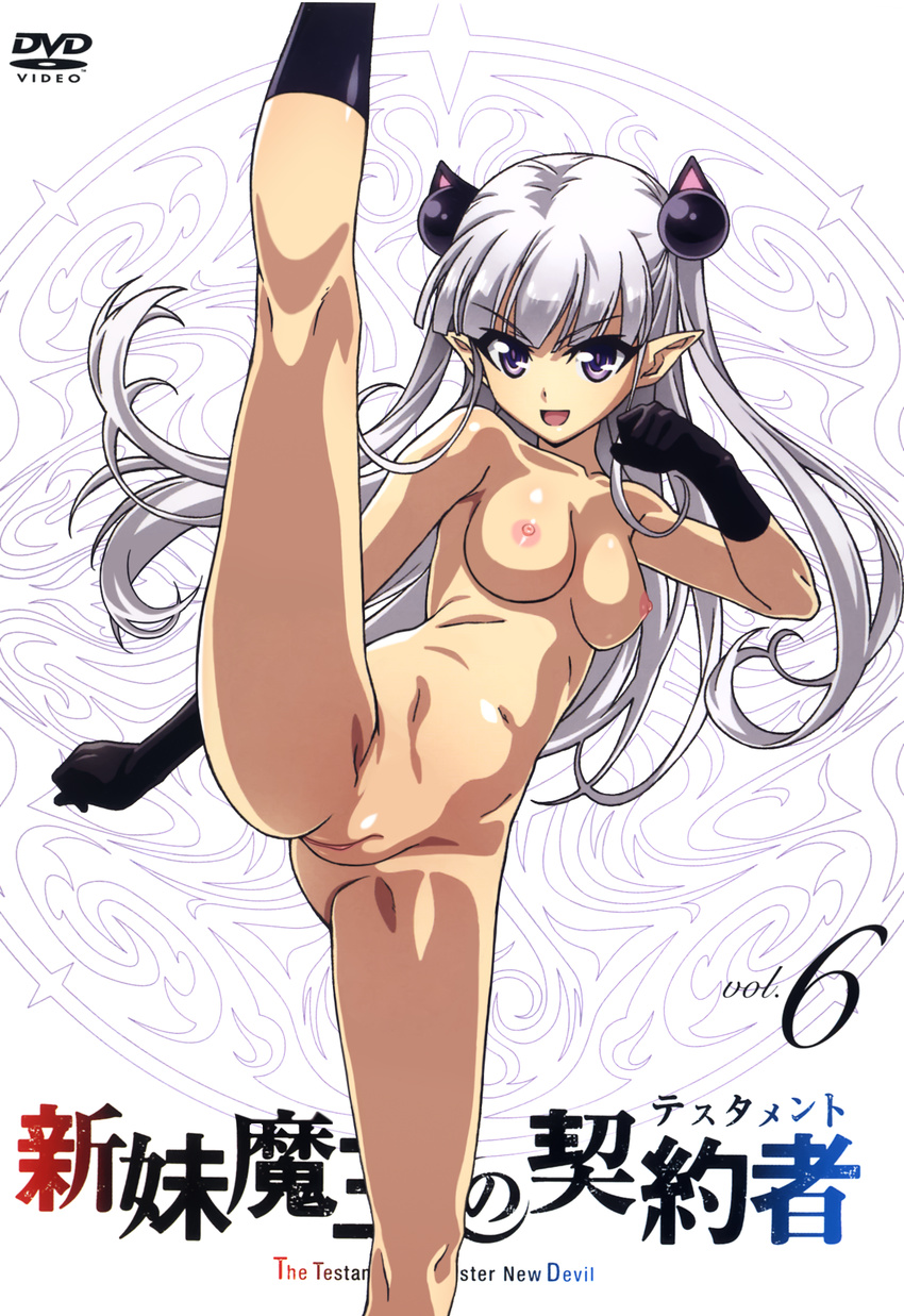 dvd_label naked naruse_maria nipples photoshop pointy_ears pussy shinmai_maou_no_testament tail uncensored watanabe_yoshihiro