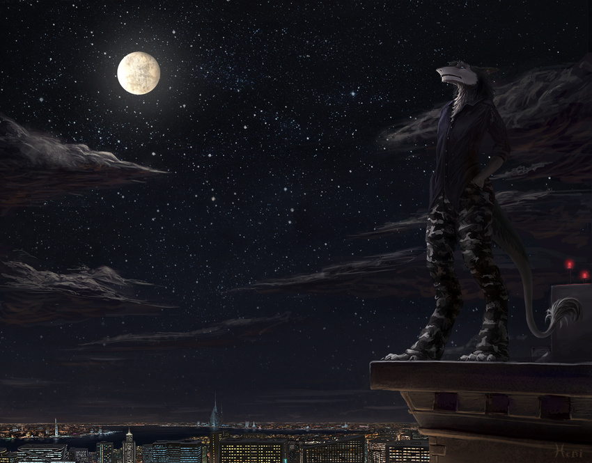 2015 blue_fur city clothed clothing cloud detailed_background digital_media_(artwork) female fur heni moon night sergal solo standing star water white_fur