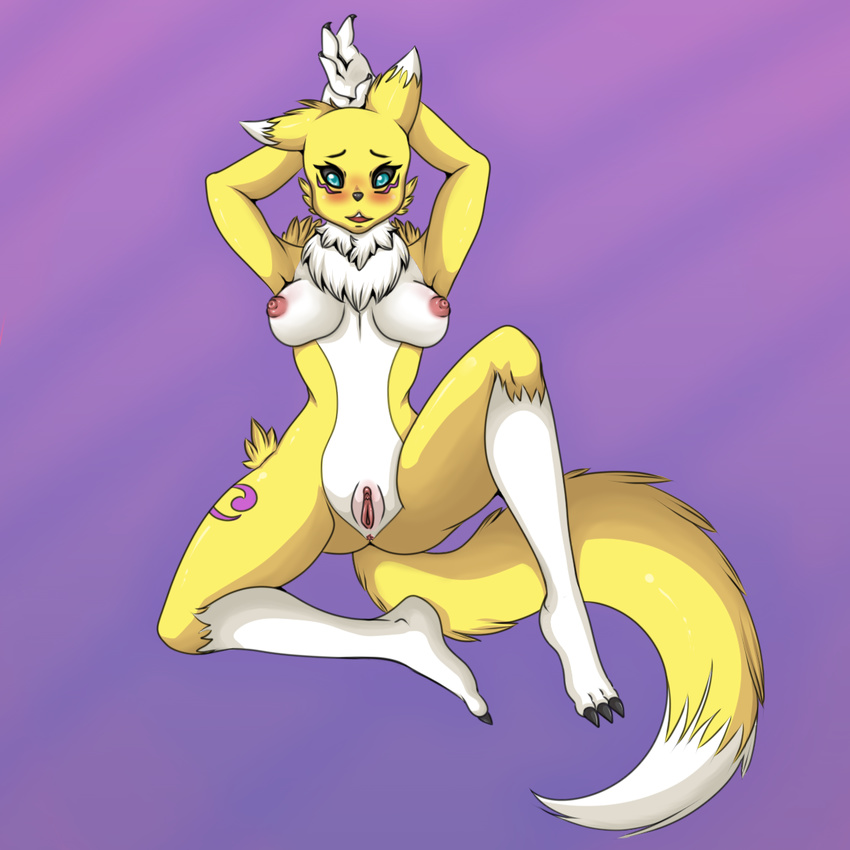 anus areola blue_eyes blush breasts digimon female hands_behind_head mochaconcoctions nipples nude pussy renamon sitting smile