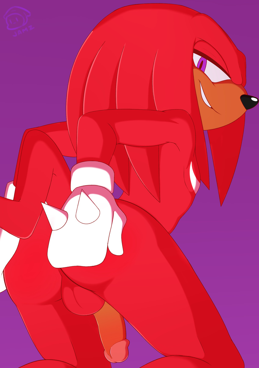 anthro balls butt clothing echidna gloves hand_on_butt jamz knuckles_the_echidna looking_at_viewer looking_back male mammal monotreme nude penis presenting presenting_hindquarters sitting smile solo sonic_(series) spikes video_games