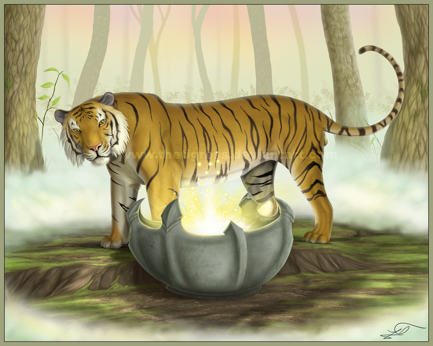 balls feline feral male mammal solo thetigress tiger