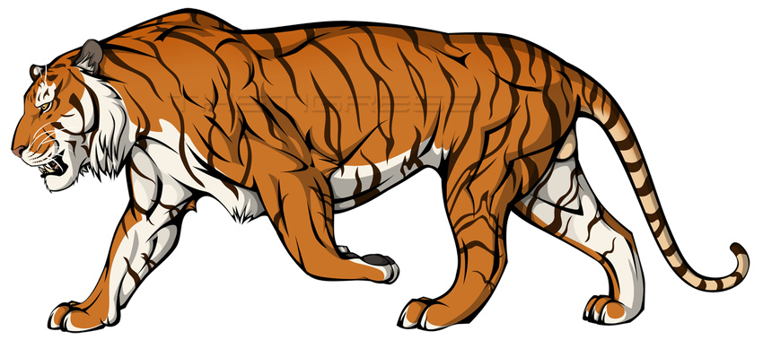 balls feline feral male mammal solo thetigress tiger