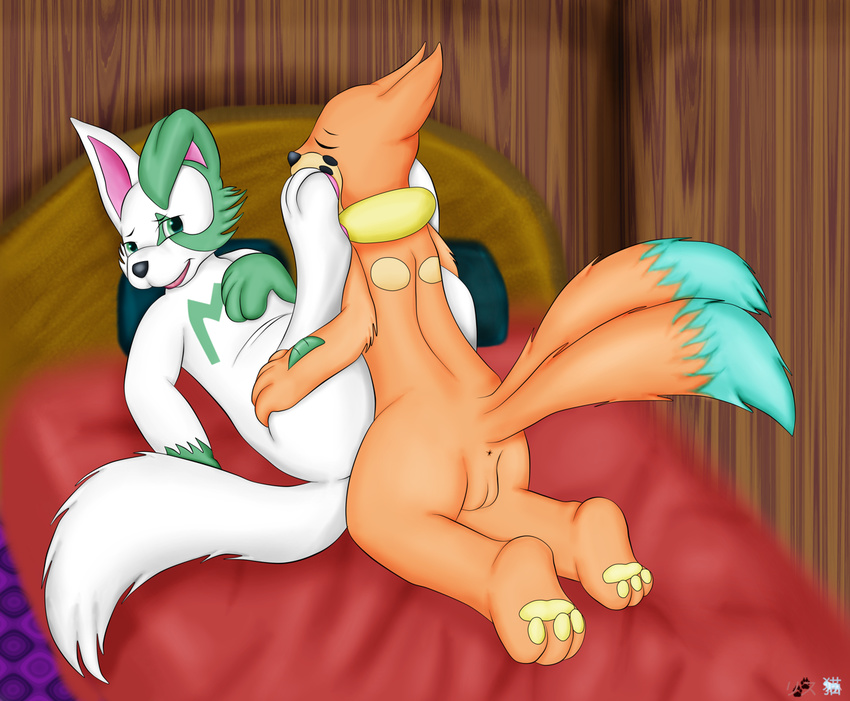 3_toes ambiguous_gender anus bed bed_sheet bedding black_nose blush buizel butt eyes_closed floppy_ears fur green_eyes green_fur male male/ambiguous nintendo on_bed open_mouth orange_fur pawpads pillow pok&eacute;mon raised_tail rear_view risuneko sex toes tongue video_games white_fur zangoose