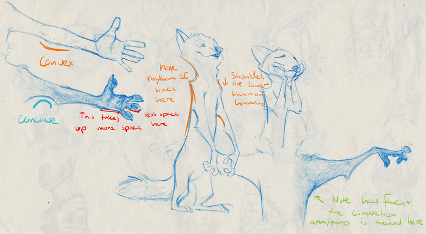 2016 absurd_res anatomy anthro canine disney english_text fox hi_res how-to male mammal monoflax nick_wilde nude simple_background solo text traditional_media_(artwork) white_background zootopia