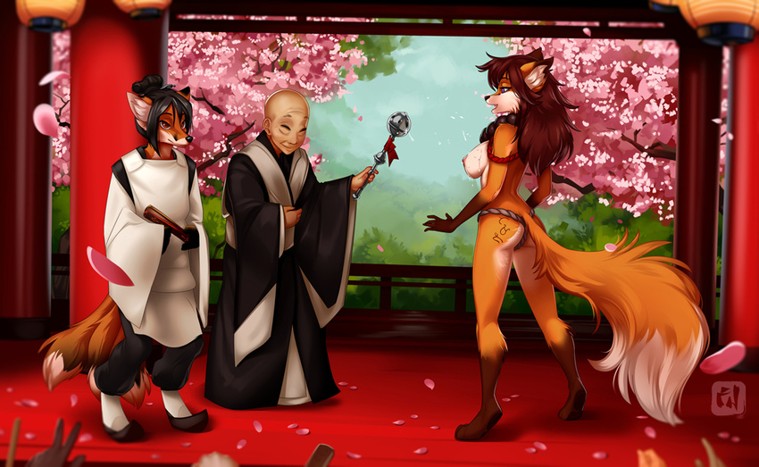 5_fingers anthro bare_back black_hair breasts brown_hair canine clothed clothing detailed_background digitigrade dragonfu female fluffy fluffy_tail fox fur group hair human male mammal nipples orange_fur smile standing