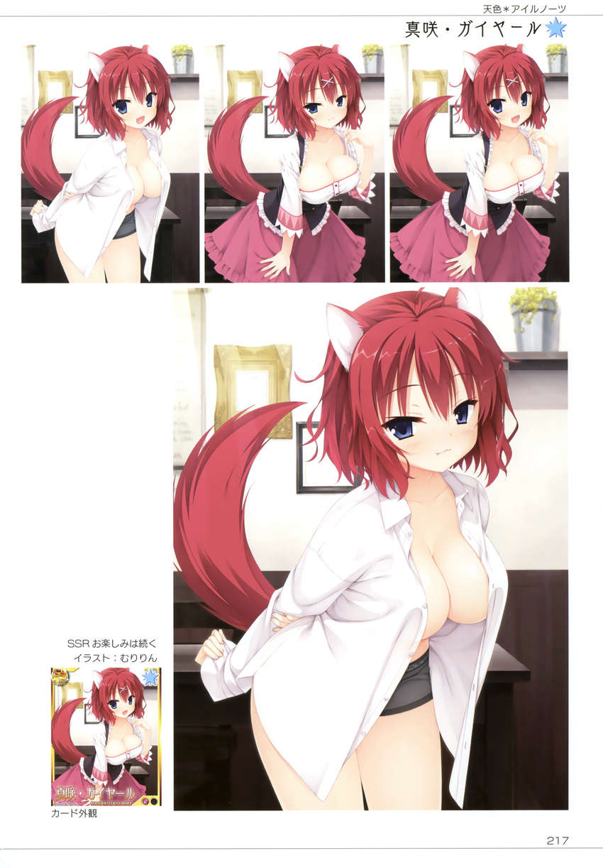 absurdres amairo_islenauts animal_ears arms_behind_back black_shorts blue_eyes breasts cleavage collarbone dog_ears dog_tail dress_shirt hair_ornament highres large_breasts leaning_forward looking_at_viewer masaki_gaillard multiple_views muririn open_clothes open_mouth open_shirt purple_skirt red_hair shirt short_hair short_shorts shorts skirt smile tail variations white_shirt