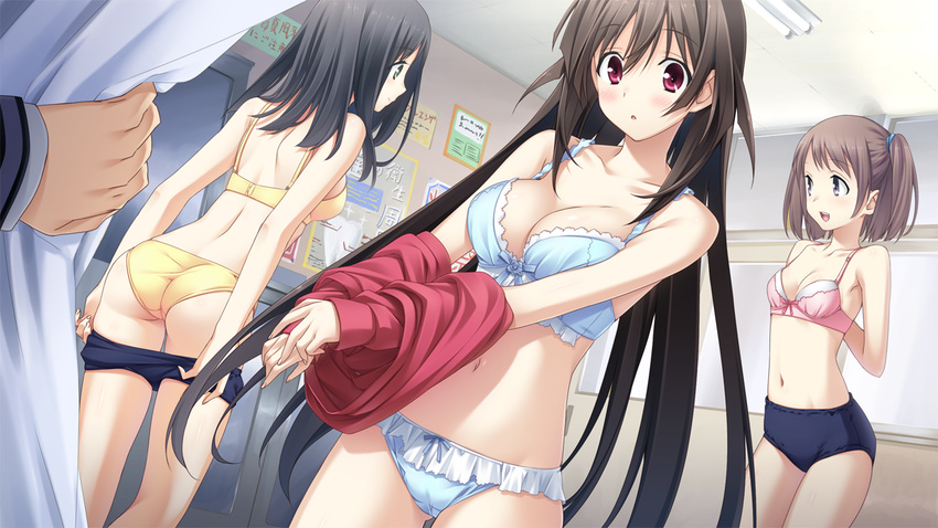 3girls :o arms_behind_back ass bare_shoulders black_hair blue_bow blue_bra blue_buruma blue_panties blush bow bow_panties bra breasts brown_hair buruma buruma_pull cameltoe ceiling_light cleavage collarbone curtains door dressing_room eyebrows_visible_through_hair game_cg green_eyes hair_tie hotch_kiss_~_hold_me_and_snatch_my_kiss_~ indoors lingerie long_hair long_sleeves looking_at_viewer medium_breasts mikoto_akemi multiple_girls navel panties parted_lips pink_bra poster_(object) pov profile purple_eyes red_sweater shoulder_blades stomach sweater tail twintails underwear underwear_only undressing very_long_hair yellow_bra yellow_panties