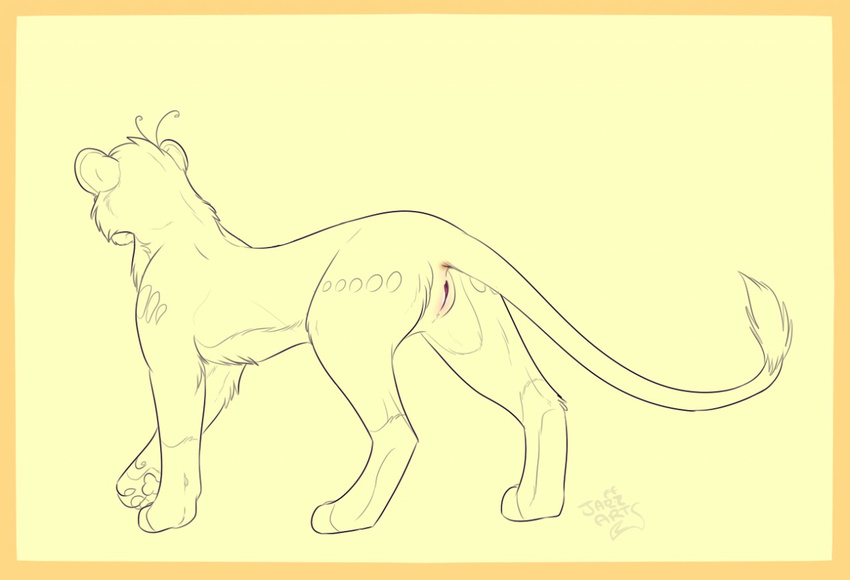 anus bahati_whiteclaw belly butt digitigrade feline female flower flower_in_hair fringe jazzlioness lion looking_away_from_viewer mammal pawpads plant pussy simple_background sketch solo tail_aside tail_tuft tuft