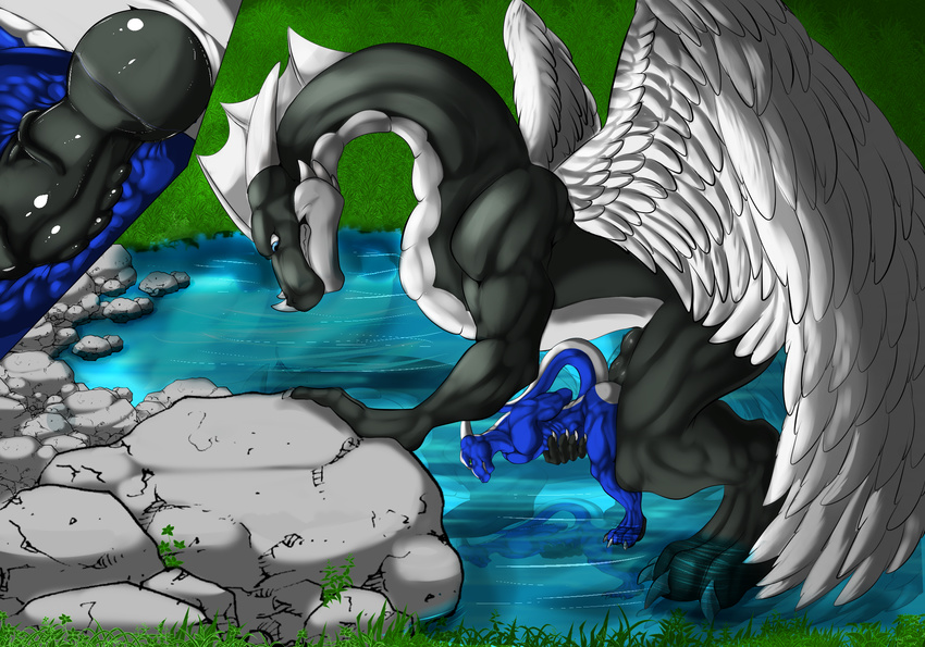 anal anal_penetration anthro_dragon dfem dragon feral_dragon internal knot male male/male penetration pond rega rock silver_shadowheart size_difference size_play winged_dragon