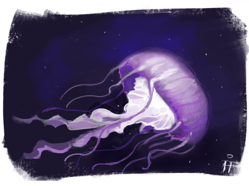 border digital_media_(artwork) digital_painting_(artwork) feral firefeathers jellyfish marine signature solo tentacles underwater water