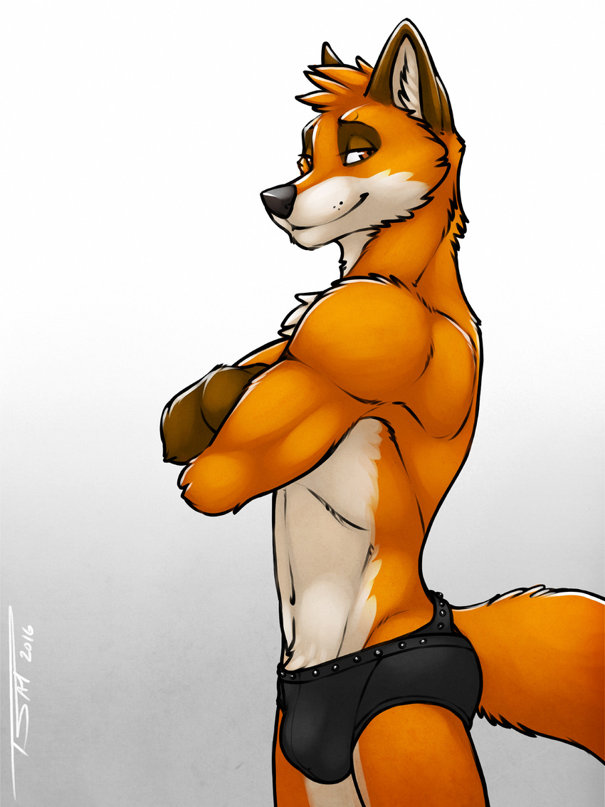 2016 anthro biped black_bottomwear black_clothing black_nose black_underwear brown_eyes brown_fur bulge canine clothed clothing countershade_face countershade_torso countershading crossed_arms digital_media_(artwork) eye_markings fluffy fluffy_tail fox fur gradient_background head_tuft hi_res inner_ear_fluff looking_at_viewer male mammal markings multicolored_fur navel orange_fur orange_tail portrait razy_(flx_lynx) side_view signature simple_background smile snout solo standing three-quarter_portrait tsaiwolf underwear white_countershading white_fur