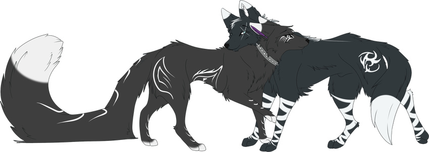 aimi alpha_channel ambiguous_gender black_nose blue_eyes canine collar duo feral fur grey_fur mammal markings nude paws scar simple_background smile standing transparent_background
