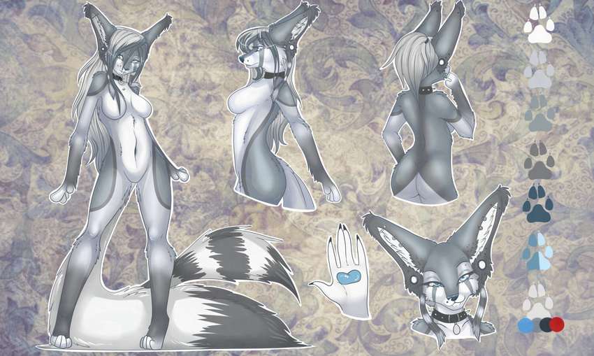 5_fingers aimi anthro bare_back blair_(aimi) blue_eyes breasts canine collar featureless_breasts featureless_crotch female fur grey_fur grey_hair hair mammal model_sheet navel nude smile solo standing white_fur