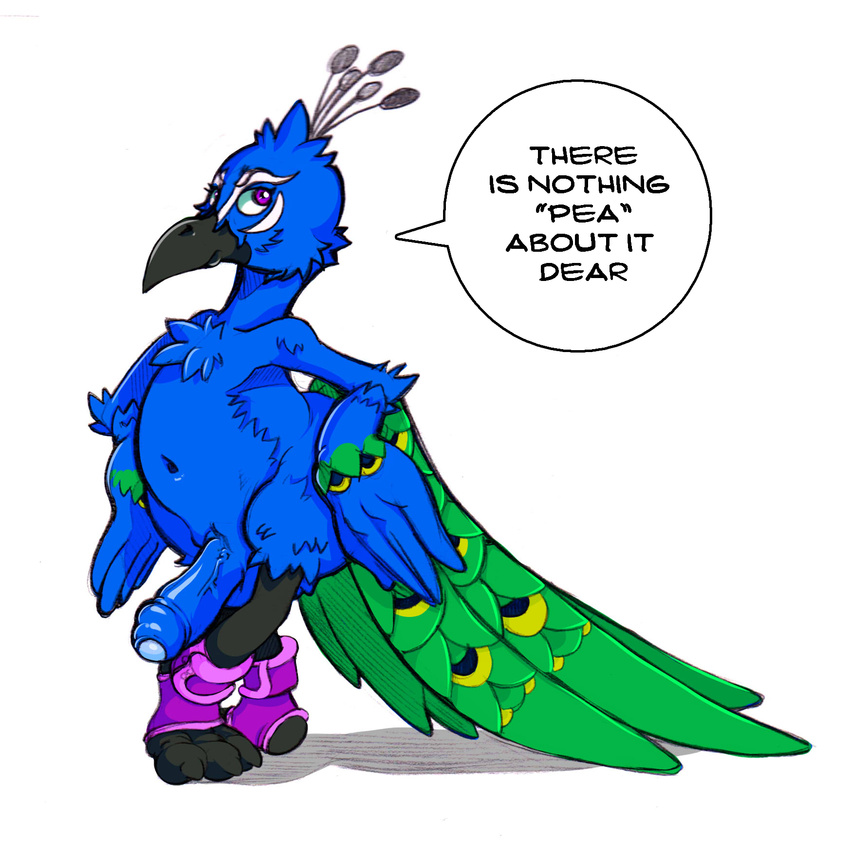 anthro avian balls bird crossed_legs dialogue english_text erection humanoid_penis male mostly_nude navel neokat partially_retracted_foreskin peafowl penis pose solo spats speech_bubble text uncut vein veiny_penis