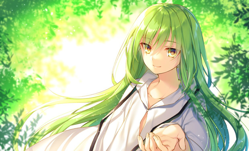 androgynous branch commentary_request enkidu_(fate/strange_fake) fate/strange_fake fate_(series) green green_hair jpeg_artifacts light_smile long_hair male_focus solo toosaka_asagi very_long_hair