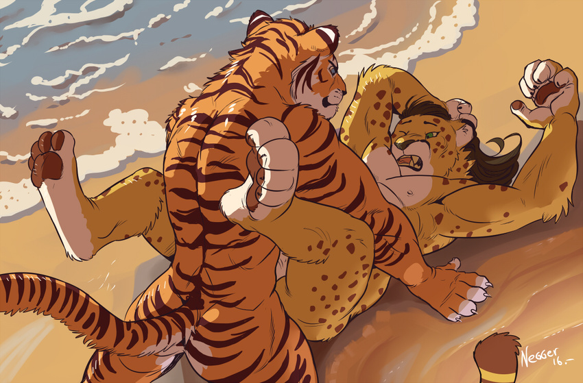 anal anthro anvil_position beach butt cheetah duo eye_contact feline kyyanno legs_up long_tail lying male male/male mammal muscular negger nipples on_back one_eye_closed open_mouth pawpads pecs seaside sex signature tiger