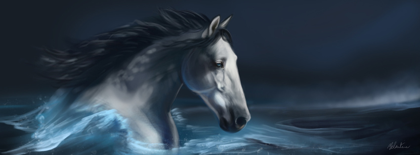 2014 ambiguous_gender black_mane detailed_background digital_media_(artwork) equine feral fur grey_fur horse mammal mane mondeis night outside quadruped sea side_view signature sky snout solo swimming water