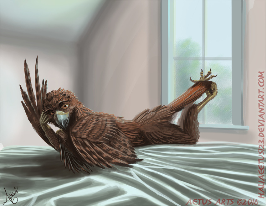 2016 aetus ambiguous_gender anthro avian beak bedroom_eyes bird claws feathered_wings feathers half-closed_eyes haliaeetus looking_at_viewer pinup pose seductive solo tail_feathers talons winged_arms wings