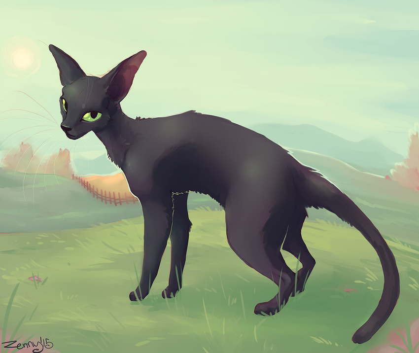 2015 ambiguous_gender black_fur black_nose cat day feline feral fur grass green_eyes looking_at_viewer mammal outside solo standing zenirix