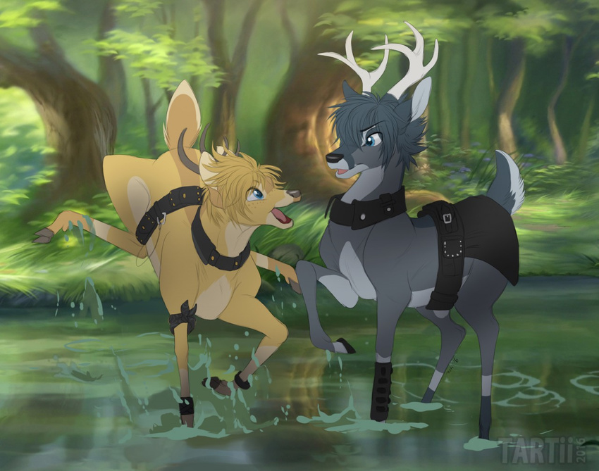 cervine clothed_feral deer duo excited eye_contact feral forest hooves leather_straps male mammal open_mouth outside partially_submerged prancing quadruped signature smile splashing standing tartii tree