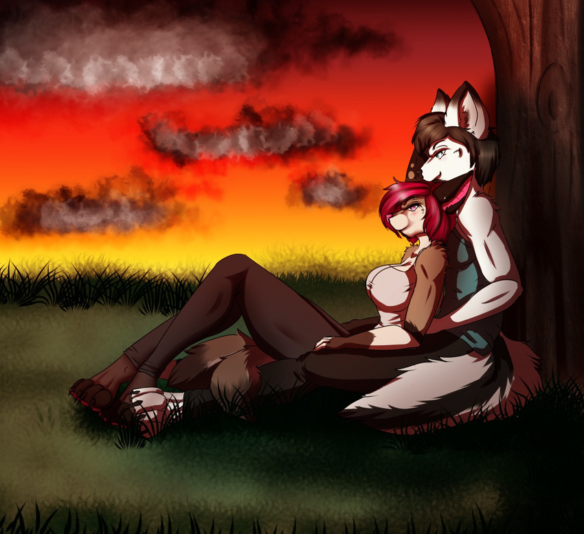 anthro canine clothed clothing duo female fur hair hug looking_at_viewer male male/female mammal mizukithia outside sitting smile