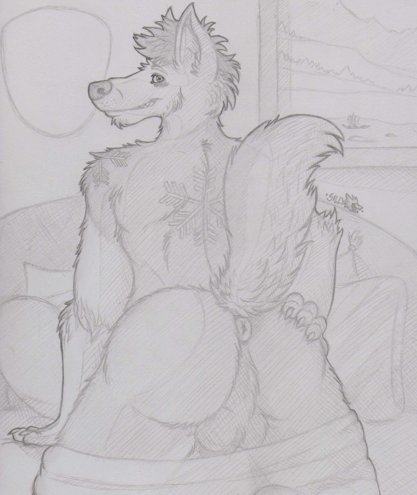 anthro anus balls bottomless butt canine clothed clothing looking_at_viewer male mammal presenting presenting_anus presenting_hindquarters raised_tail rear_view sillywerwolf wolf