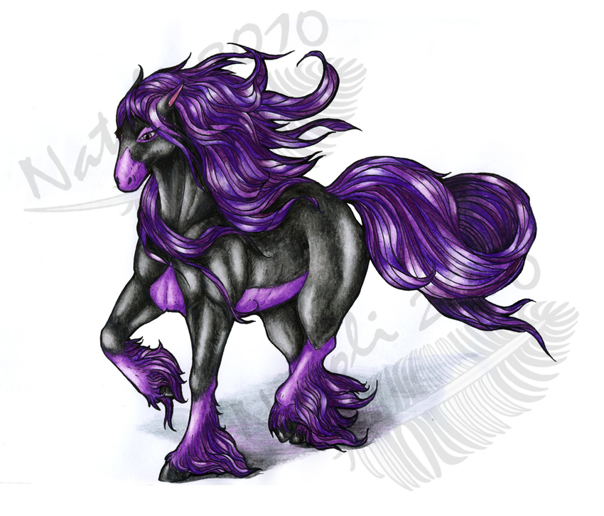 2010 ambiguous_gender black_fur equine feral fur hair horse long_hair mammal natoli purple_eyes purple_hair simple_background solo standing traditional_media_(artwork) watermark white_background