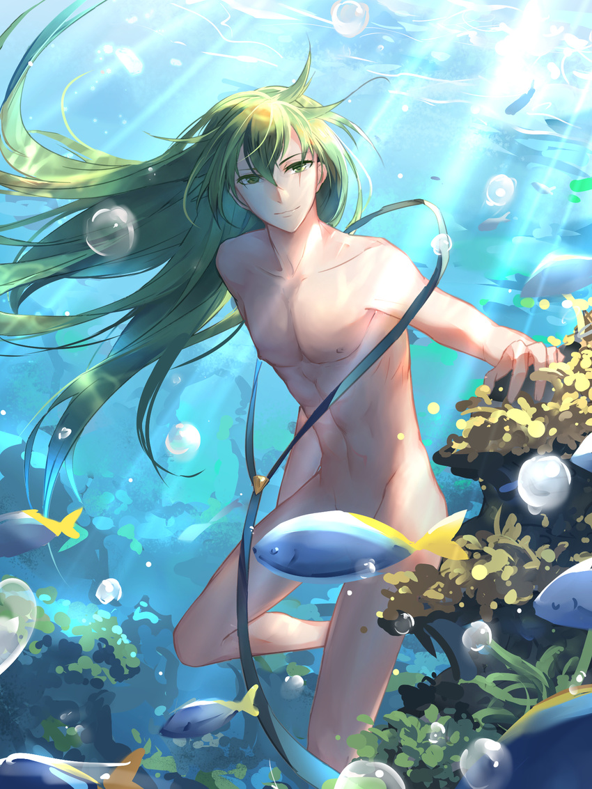 air_bubble androgynous bubble caustics convenient_censoring diving enkidu_(fate/strange_fake) fate/strange_fake fate_(series) fish freediving green_eyes green_hair highres holding_breath long_hair looking_at_viewer male_focus nature nude solo submerged sunlight swimming tebd_menkin underwater