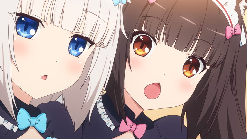 2girls blue_eyes blush brown_hair cat_ears chestnut_mouth chocola_(sayori) hazel_eyes multiple_girls nekomimi nekopara tagme vanilla_(sayori) white_hair